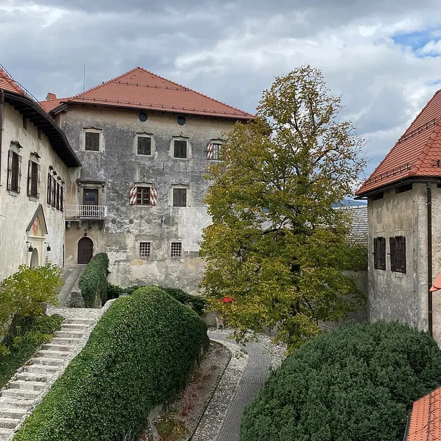 Buildings around the lower courtyard of Bled Castle with a tree in the middle